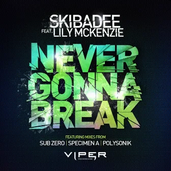 Never Gonna Break by Skibadee