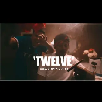 TWELVE by .223Jerm