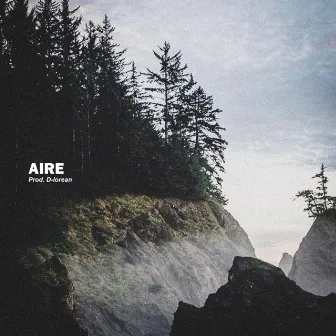 Aire by D-lorean