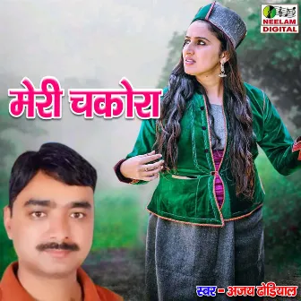 Meri Chakora (Pahari) by Ajay Dhondiyal