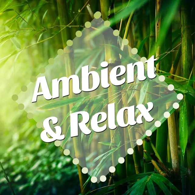 Ambient & Relax: New Age Vibes with nature Sounds and Piano Lullabies to set you in a Peaceful and Soothing Mood, Destress after a Long Day at Work and Fend Off Agitated States of Mind