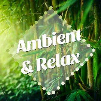 Ambient & Relax: New Age Vibes with nature Sounds and Piano Lullabies to set you in a Peaceful and Soothing Mood, Destress after a Long Day at Work and Fend Off Agitated States of Mind by Relaxing Piano Music: Greatest Hymns: Best Loved Religious Hymns and Spiritual Songs for Christian Devotion