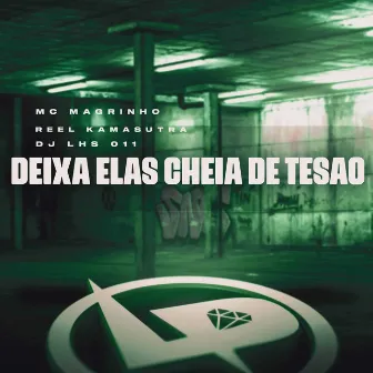 Deixa Elas Cheia de Tesao by DJ LHS 011