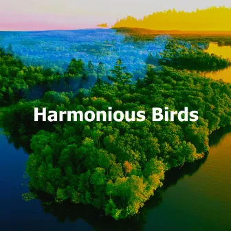 Harmonious Birds by Unknown Artist