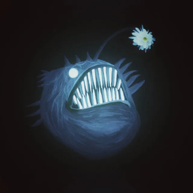 The Light of Anglerfish 提灯鮟鱇