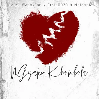 Ngyaku'khumbula by Daizy WashxTon