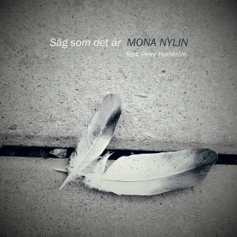 Säg som det är by Mona Nylin