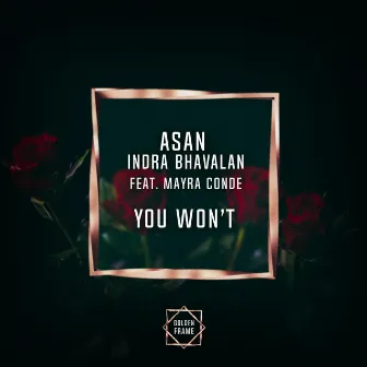 You Won't by Indra Bhavalan