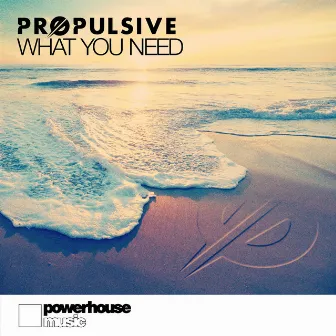 What You Need by Propulsive