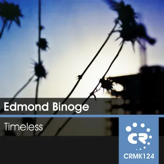 Timeless by Edmond Binoge