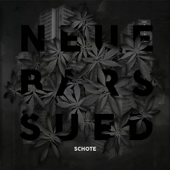 Neue Bars Sued by Schote