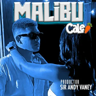 Malibu by Sir Andy Vaney