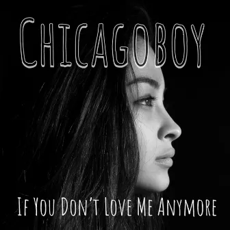 If You Don't Love Me Anymore by Chicagoboy