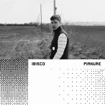 Pianure by Ibisco