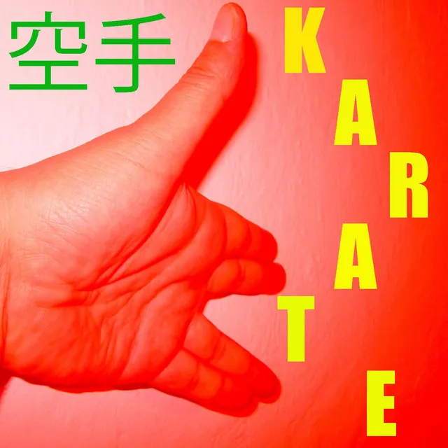 Musica per il Karate Vol. 9