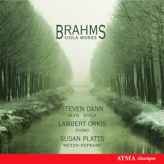 Brahms: Viola Works by Steven Dann