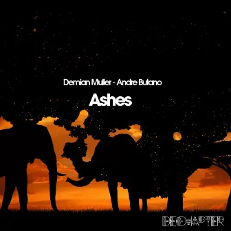 Ashes by Demian Muller