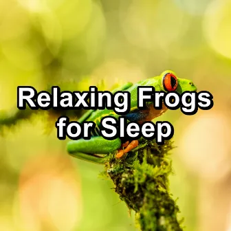 Relaxing Frogs for Sleep by Frog Sounds