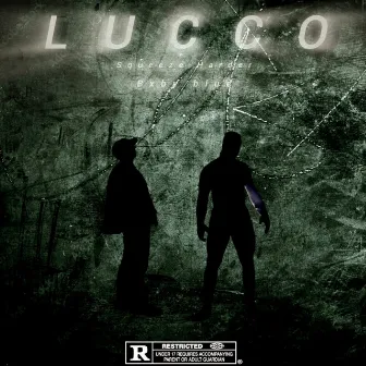 Lucco by Baby Blue