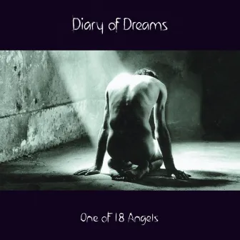 One of 18 Angels by Diary Of Dreams