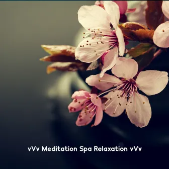 vVv Meditation Spa Relaxation vVv by Alicia Bliss