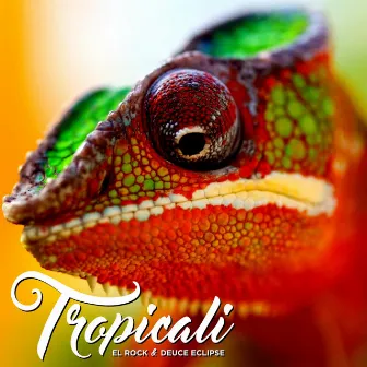 Tropicali by El Rock