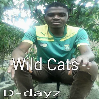 Wild Cats by D-DAYZ