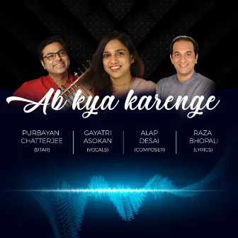 Ab Kya Karenge by Gayatri Asokan