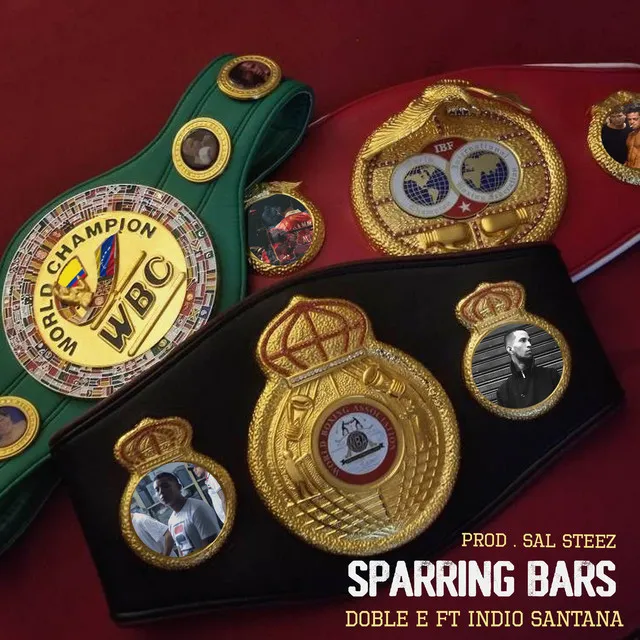 Sparring Bars