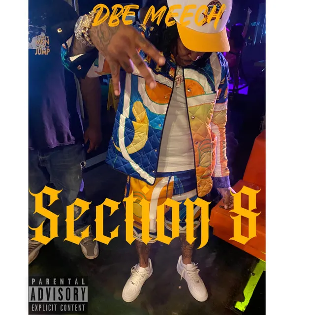 Section 8