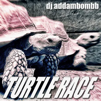 Turtle Race by DJ Addambombb