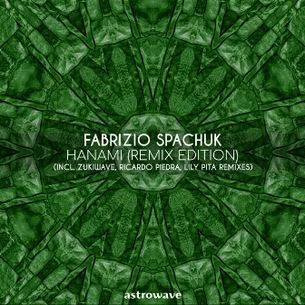 Hanami (Remix Edition) by Fabrizio Spachuk