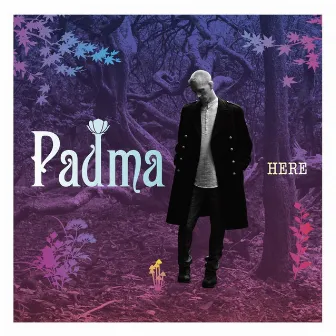 Here by Padma