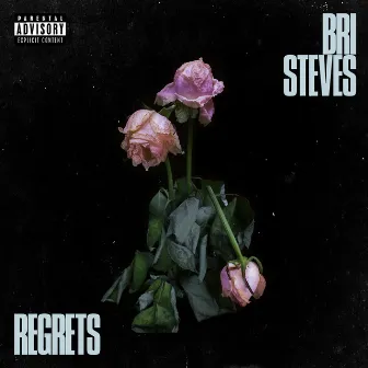 Regrets by Bri Steves