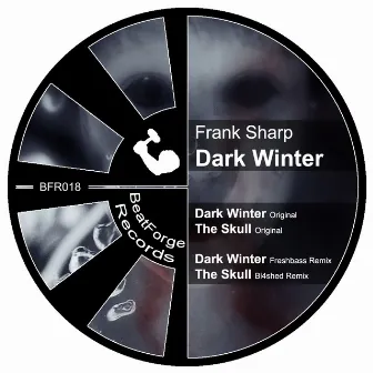 Dark Winter by Frank Sharp