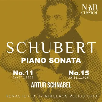 SCHUBERT: PANO SONATA, GASTEINER 