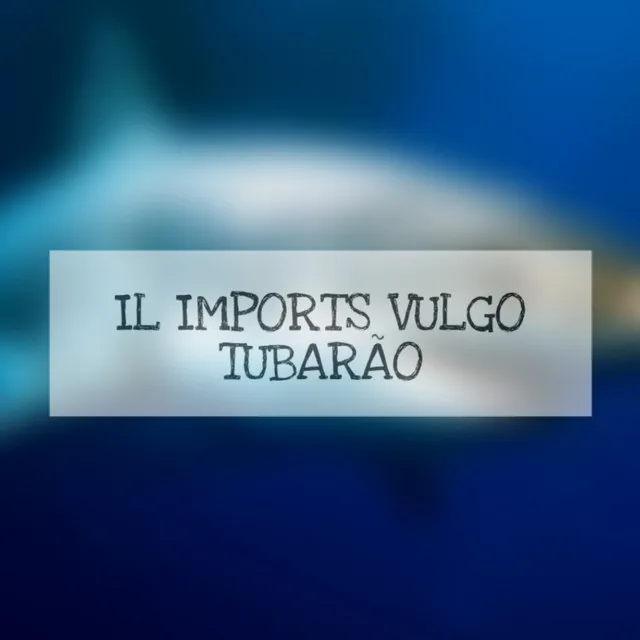 Il Imports Vulgo Tubarão