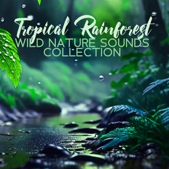 Tropical Rainforest – Wild Nature Sounds Collection, Soothing Music for Deep Sleep and Relaxation Meditation (Rain,Thunderstorm & Birds) by Spa Music!