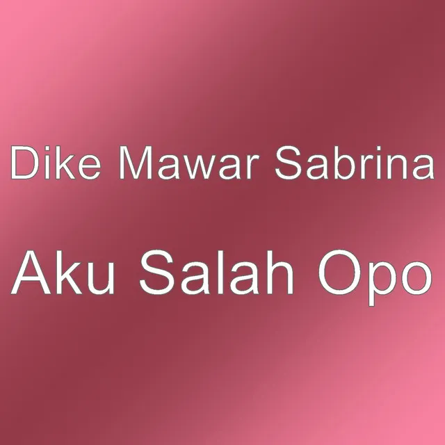 Aku Salah Opo