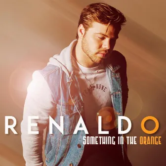 Something In The Orange by Renaldo