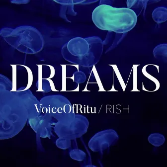 Dreams by Ritu Agarwal