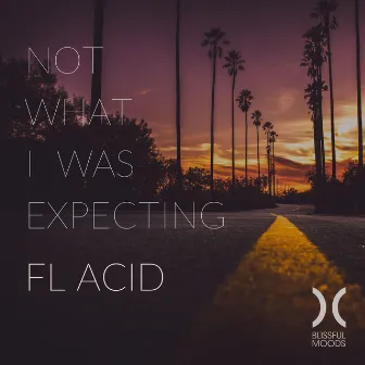 Not What I Was Expecting by FL Acid