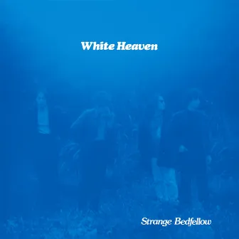 Strange Bedfellow by White Heaven