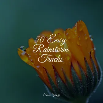 50 Easy Rainstorm Tracks by Fresh Water Sounds For Inner Peace