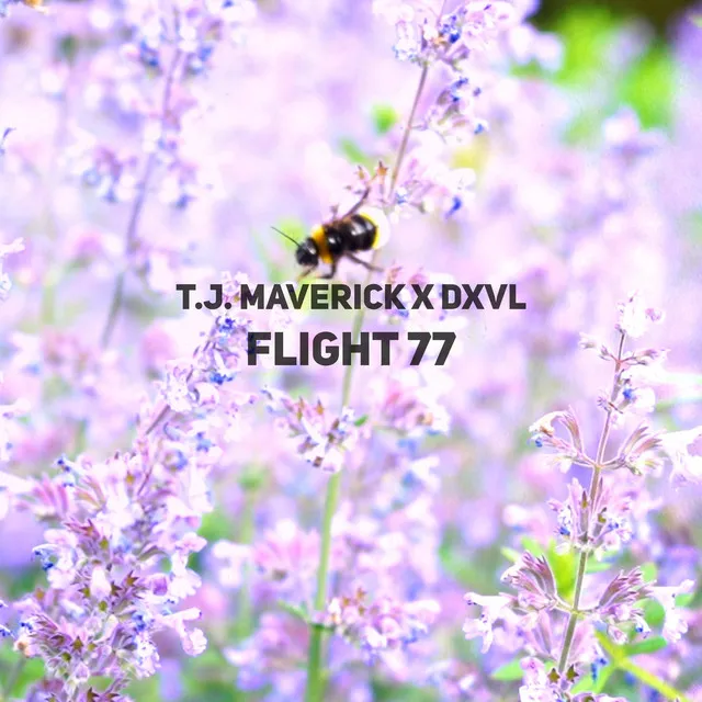 Flight 77