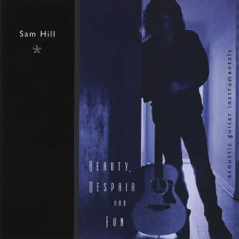 Beauty, Despair and Fun (Acoustic Guitar Instrumentals) by Sam Hill