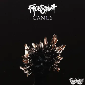 Canus by Facesplit