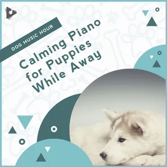 Calming Piano for Puppies While Away by Music for Puppies