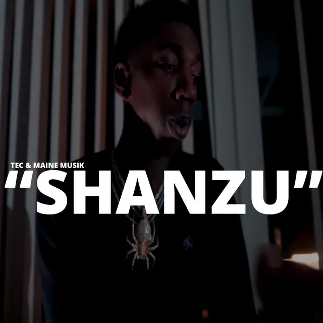 Shanzu