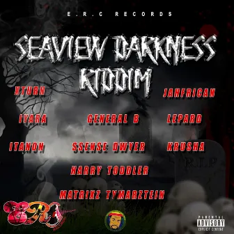 Seaview Darkness Riddim by Video Face